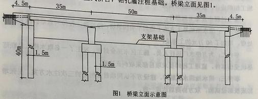 桥梁立面示意图